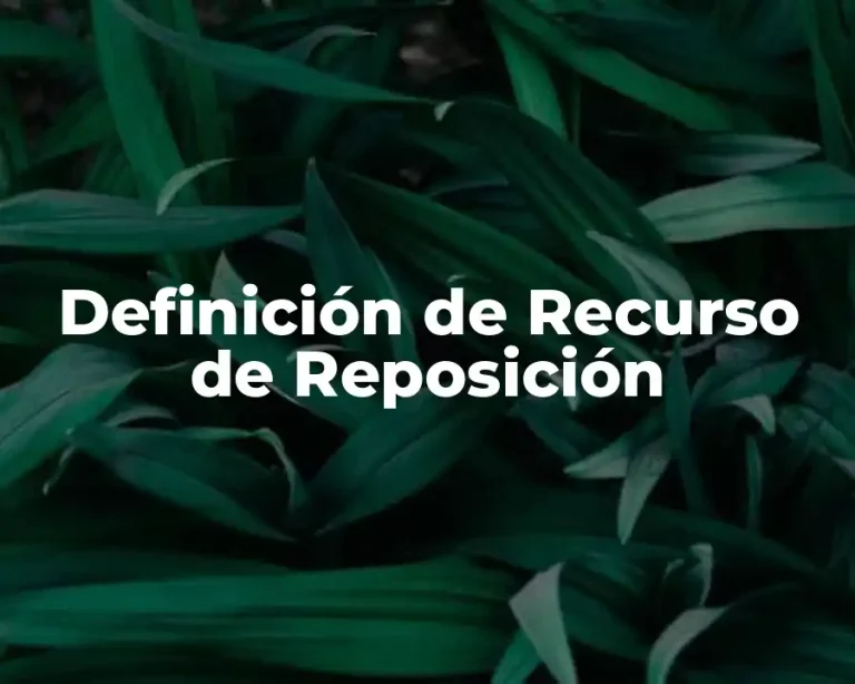 Definición de Recurso de Reposición