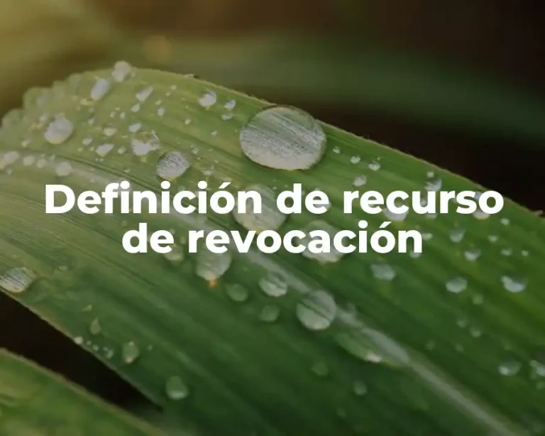 Definición de recurso de revocación