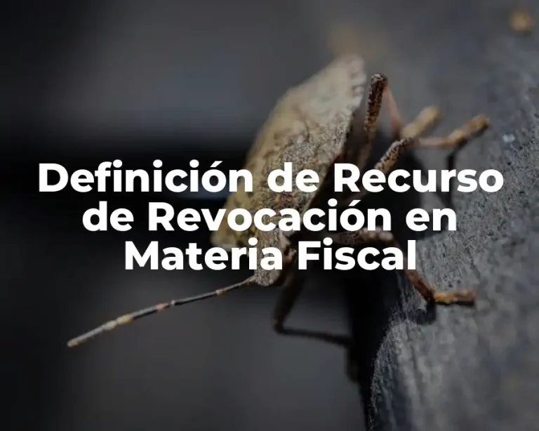 Definición de Recurso de Revocación en Materia Fiscal