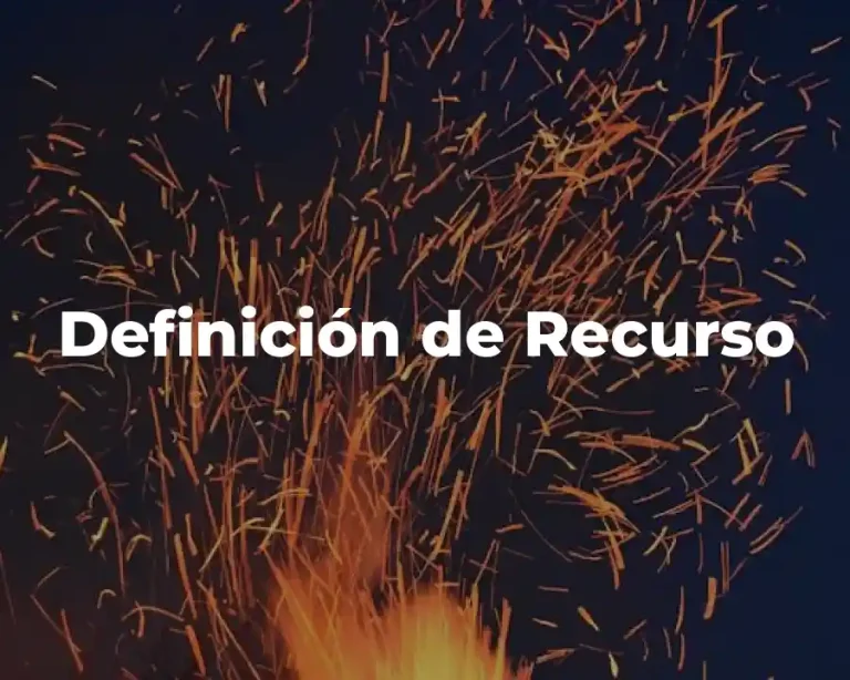 Definición de Recurso