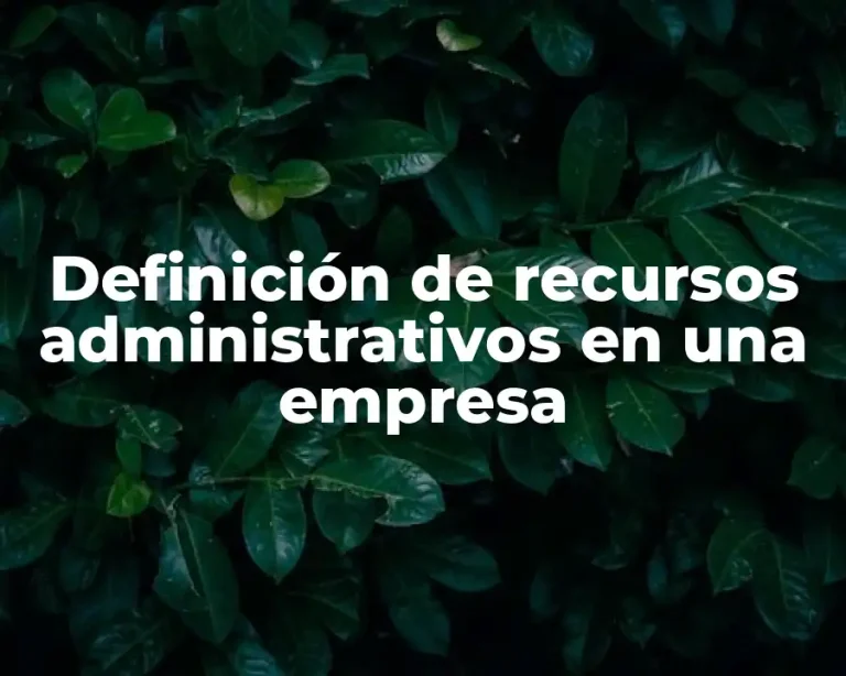 Definición de recursos administrativos en una empresa