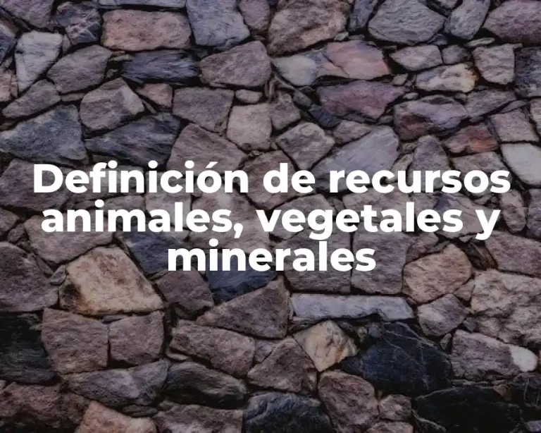 Definición de recursos animales, vegetales y minerales