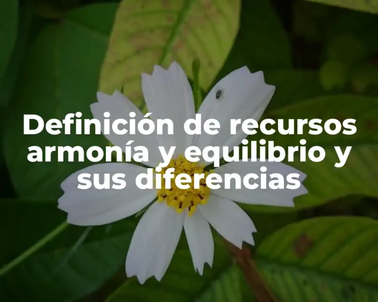 Definición de recursos armonía y equilibrio y sus diferencias