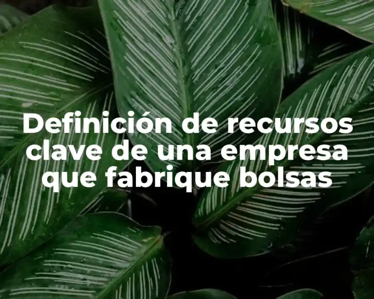 Definición de recursos clave de una empresa que fabrique bolsas