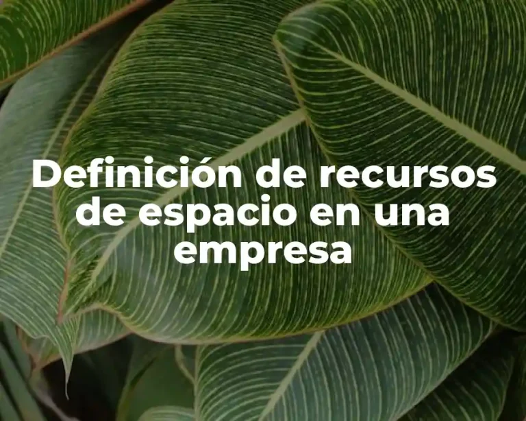 Definición de recursos de espacio en una empresa