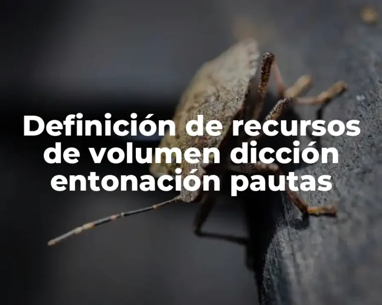 Definición de recursos de volumen dicción entonación pautas