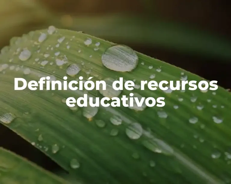 Definición de recursos educativos