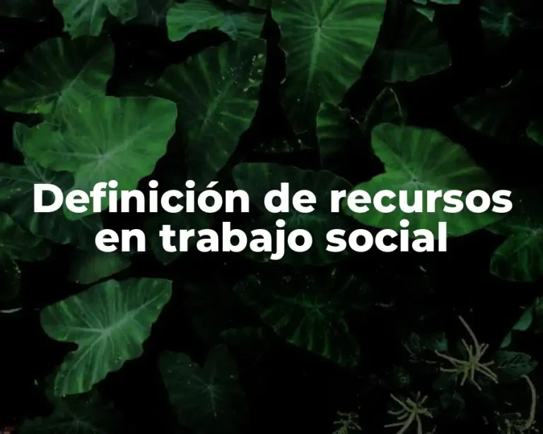Definición de recursos en trabajo social