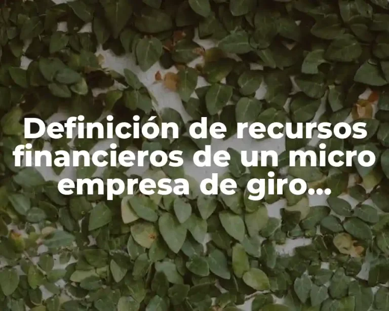 Definición de recursos financieros de un micro empresa de giro comercial