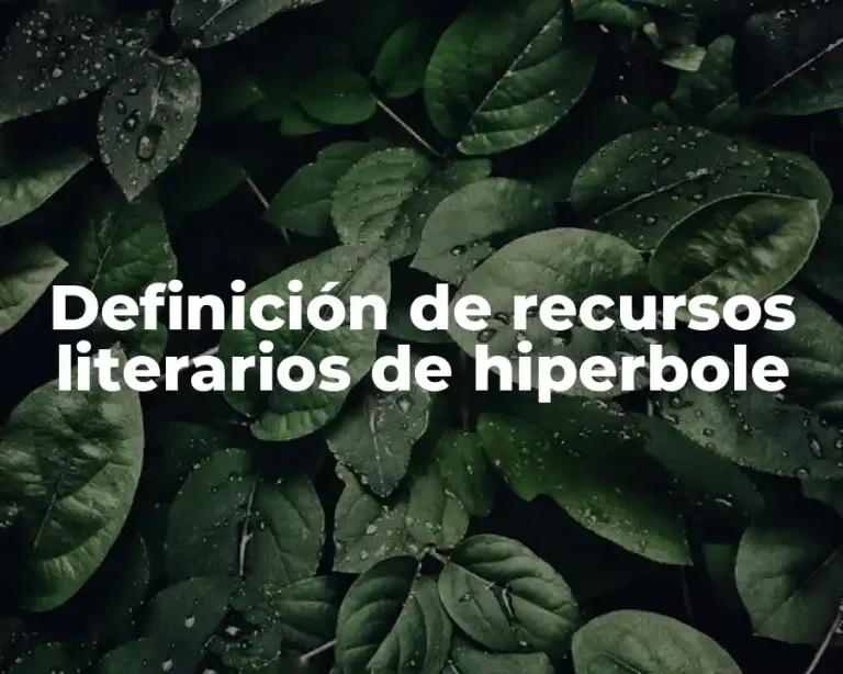 Definición de recursos literarios de hiperbole