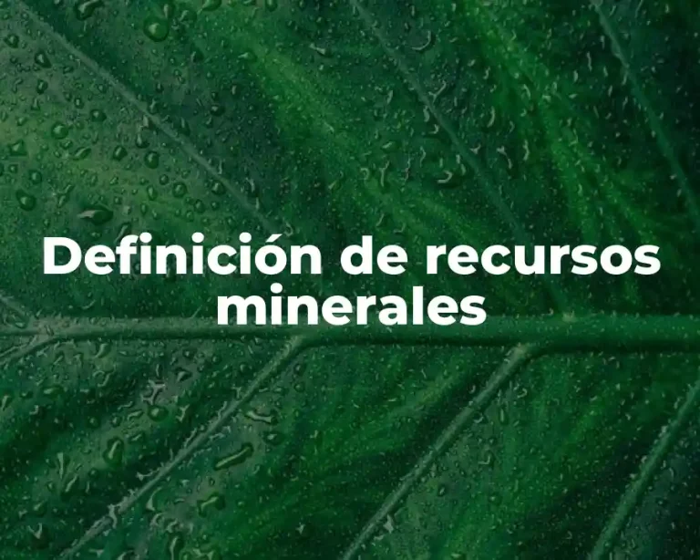 Definición de recursos minerales
