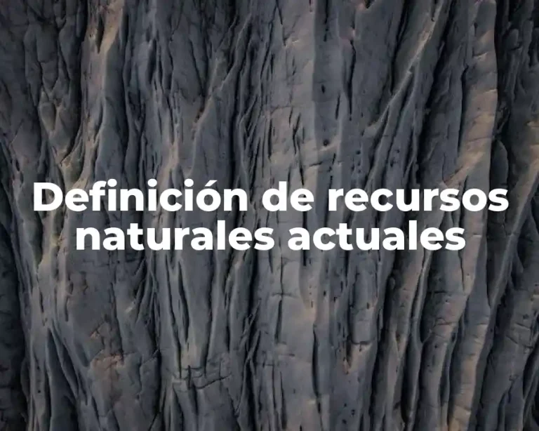 Definición de recursos naturales actuales