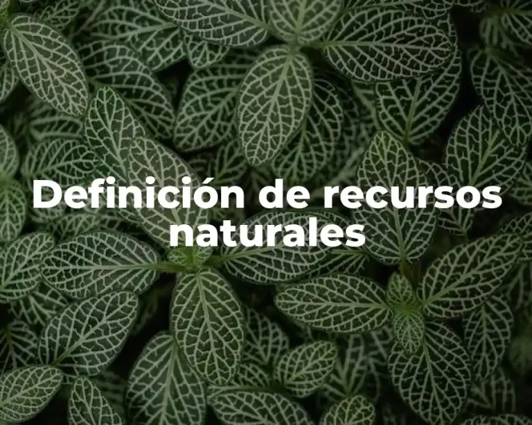 Definición de recursos naturales