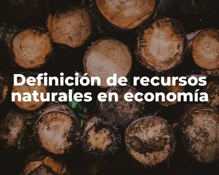 Definición de recursos naturales en economía