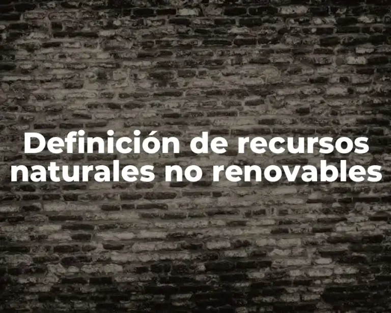 Definición de recursos naturales no renovables
