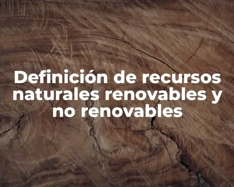 Definición de recursos naturales renovables y no renovables