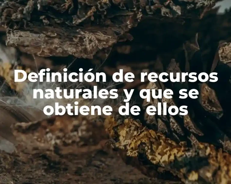 Definición de recursos naturales y que se obtiene de ellos