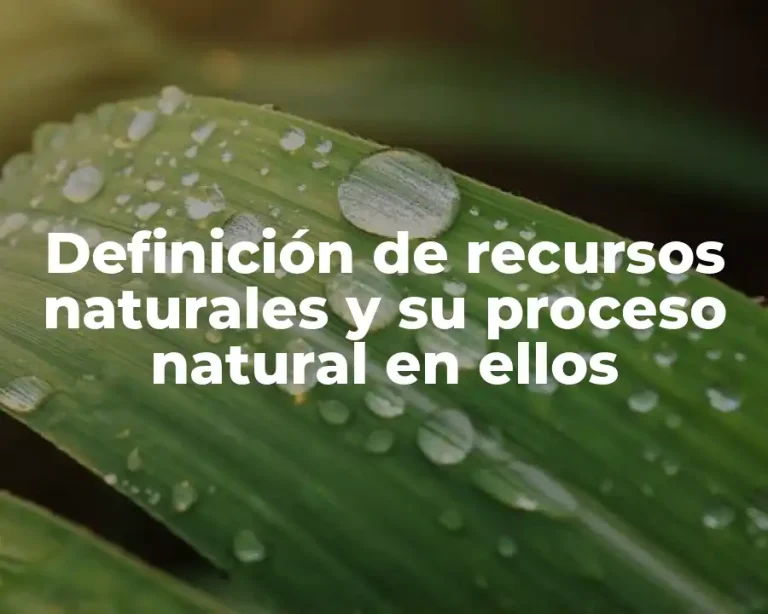 Definición de recursos naturales y su proceso natural en ellos