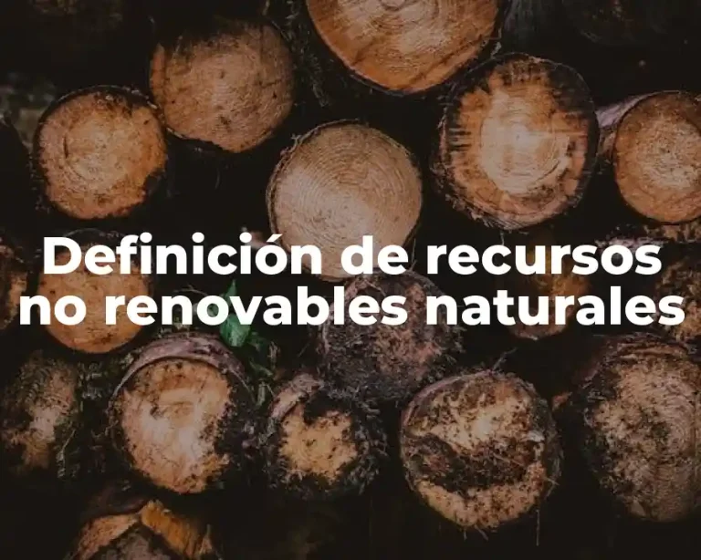Definición de recursos no renovables naturales