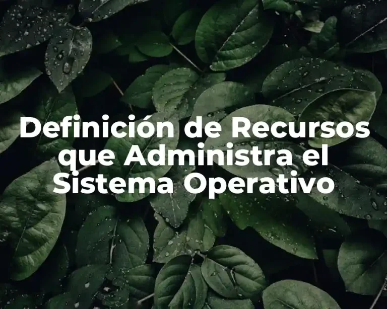 Definición de Recursos que Administra el Sistema Operativo