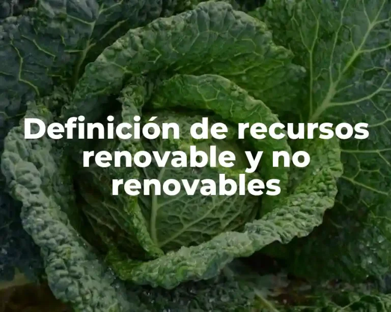 Definición de recursos renovable y no renovables