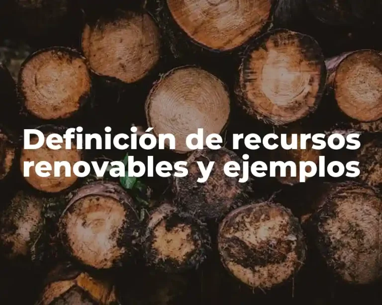 Definición de recursos renovables y ejemplos