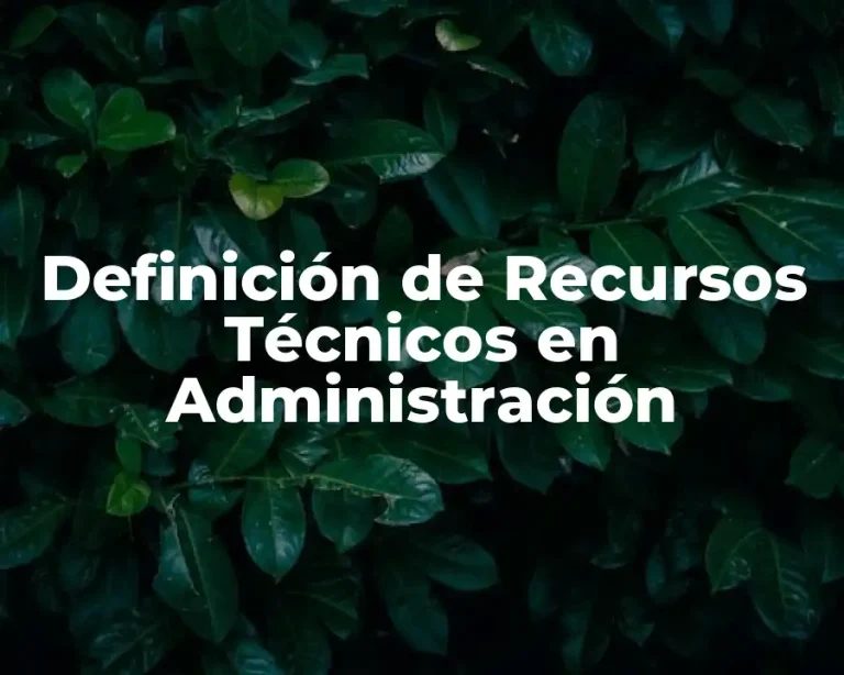 Definición de Recursos Técnicos en Administración