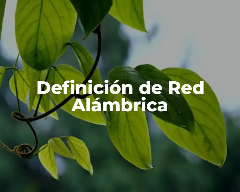 Definición de Red Alámbrica