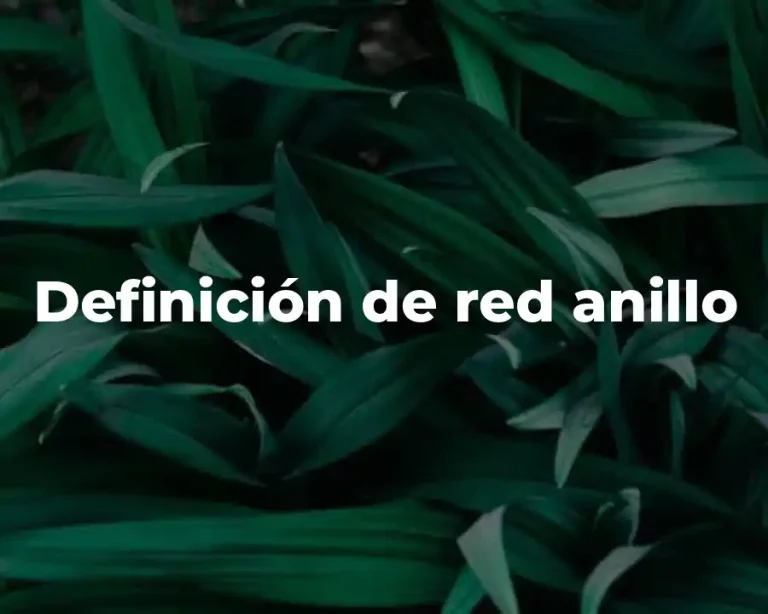 Definición de red anillo