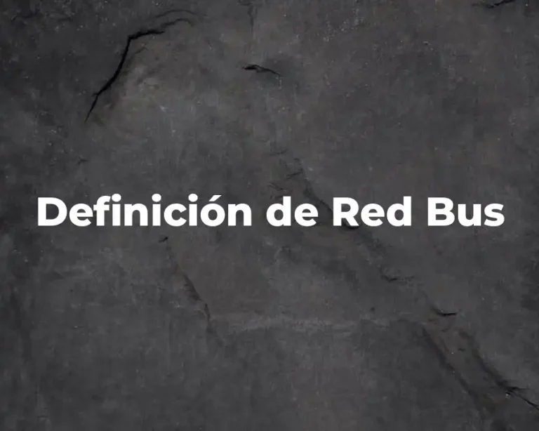 Definición de Red Bus
