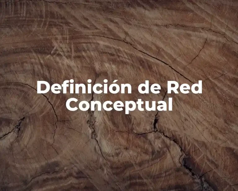 Definición de Red Conceptual