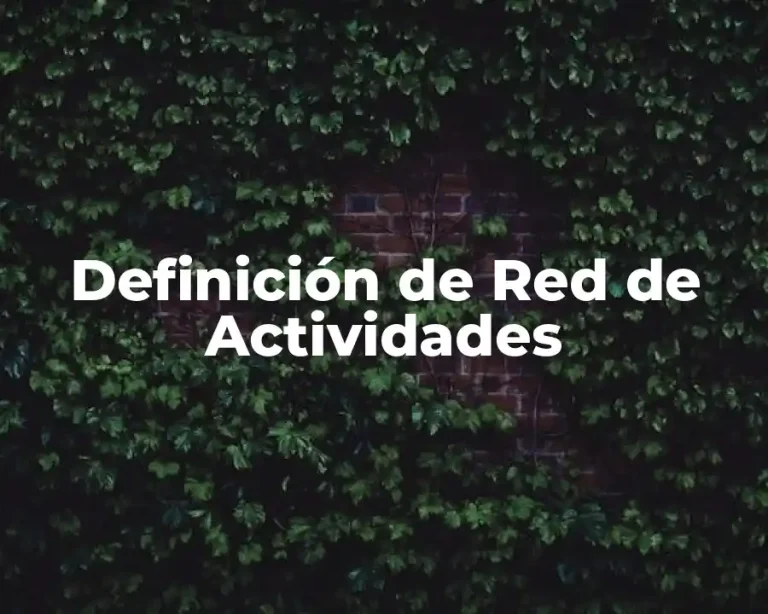 Definición de Red de Actividades