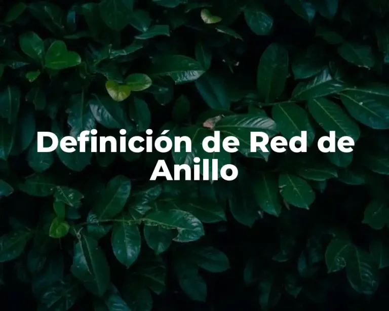 Definición de Red de Anillo