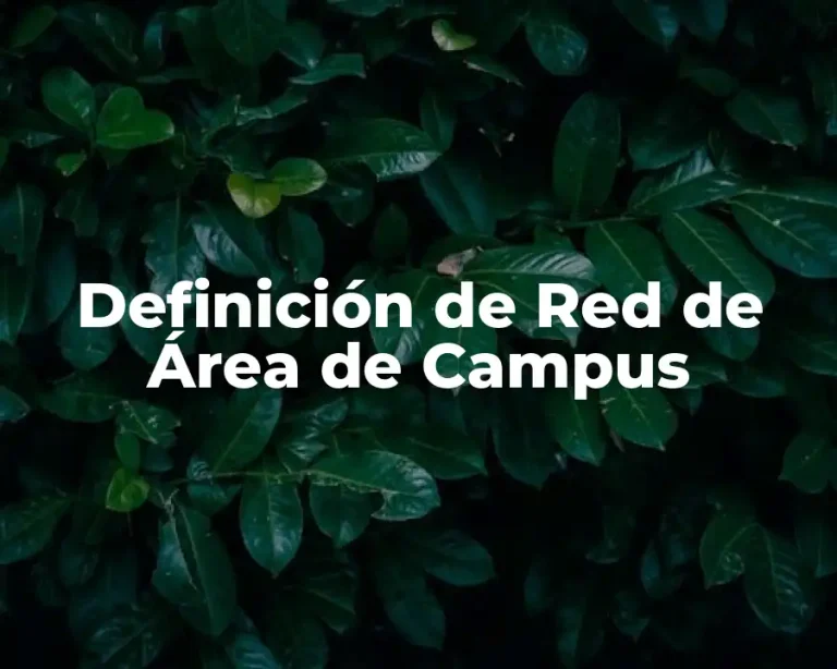 Definición de Red de Área de Campus