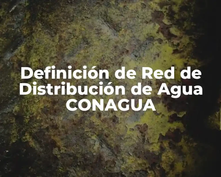 Definición de Red de Distribución de Agua CONAGUA