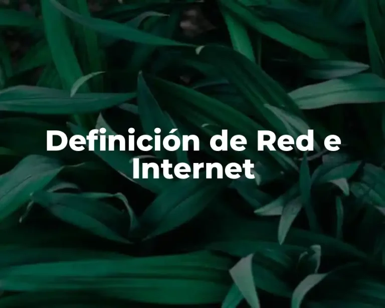 Definición de Red e Internet