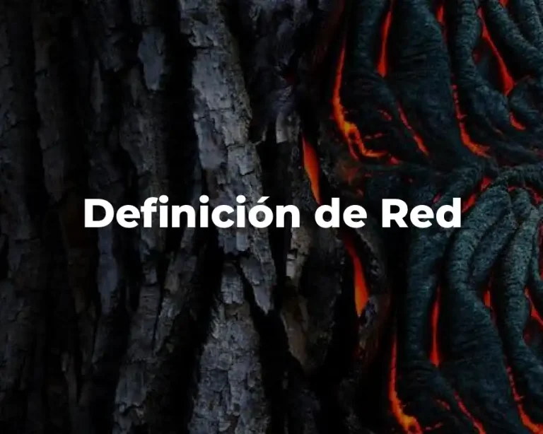 Definición de Red