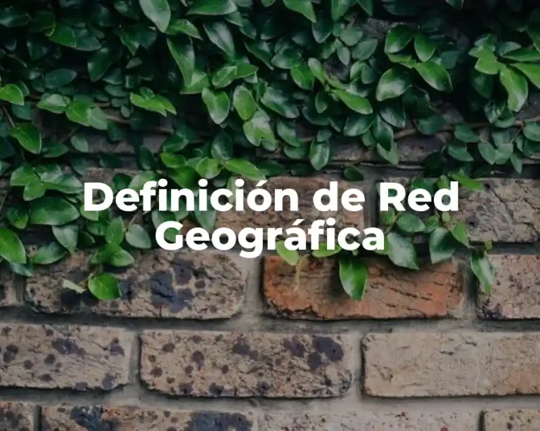 Definición de Red Geográfica