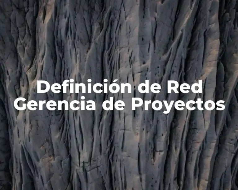 Definición de Red Gerencia de Proyectos