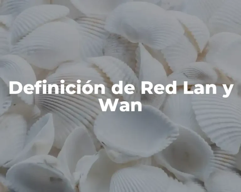 Definición de Red Lan y Wan