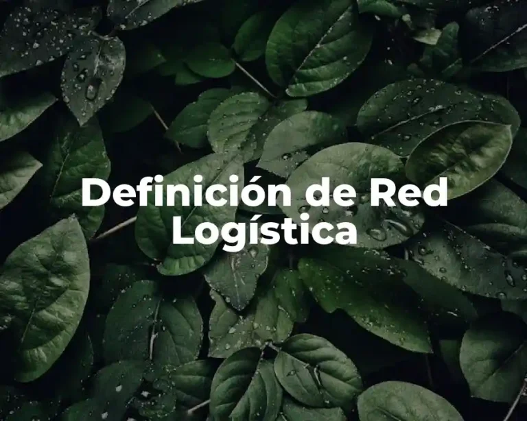 Definición de Red Logística