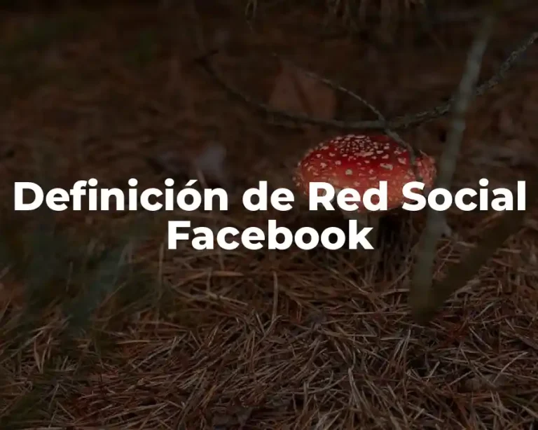 Definición de Red Social Facebook
