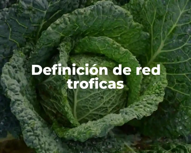 Definición de red troficas