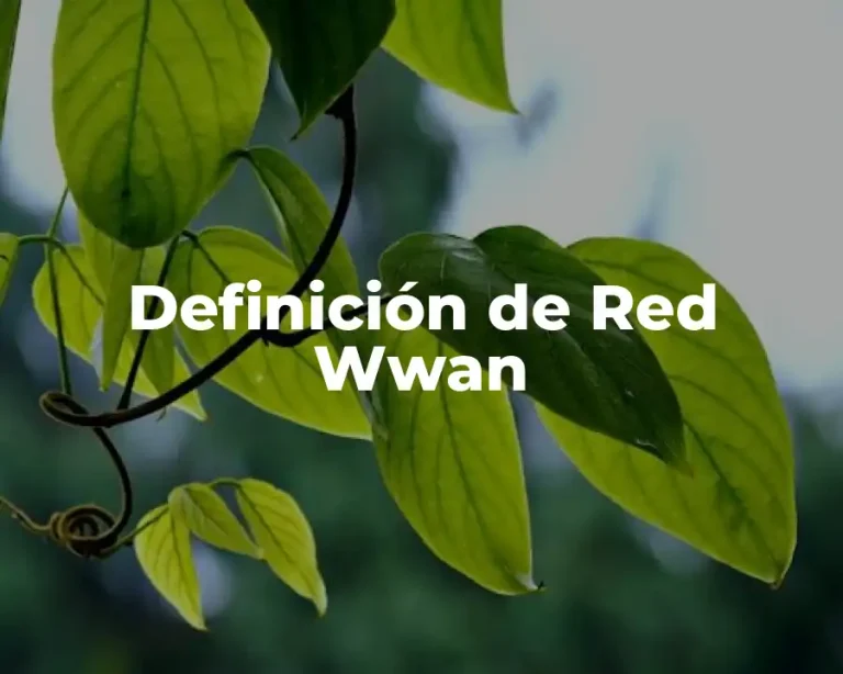 Definición de Red Wwan