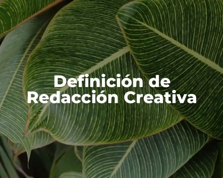 Definición de Redacción Creativa
