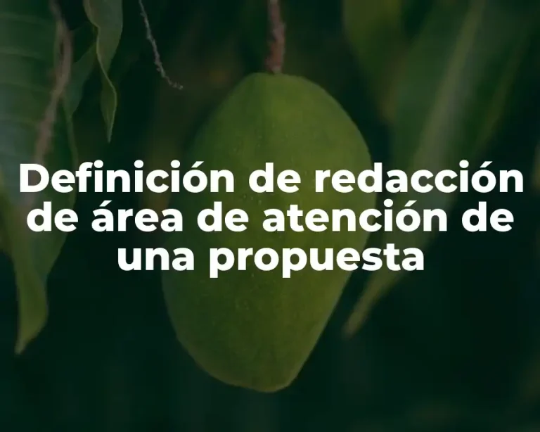Definición de redacción de área de atención de una propuesta