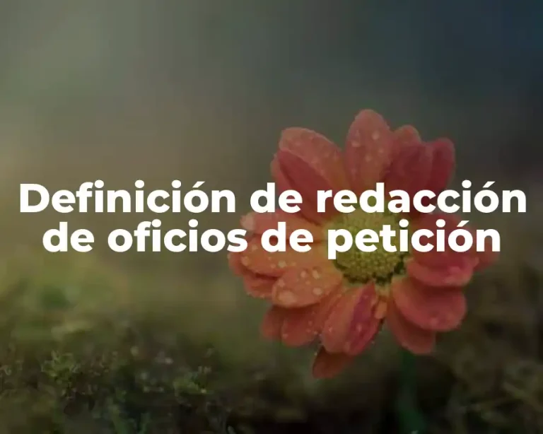Definición de redacción de oficios de petición