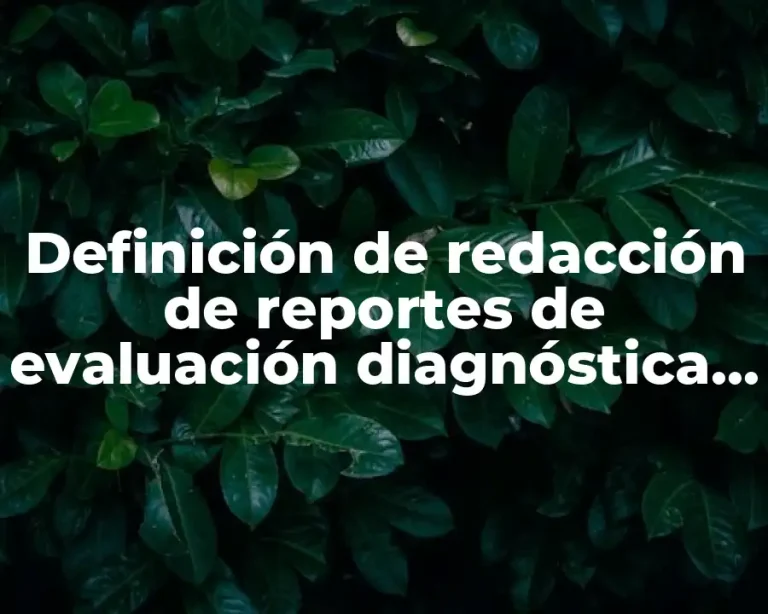 Definición de redacción de reportes de evaluación diagnóstica de primaria