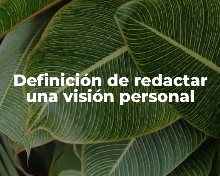 Definición de redactar una visión personal