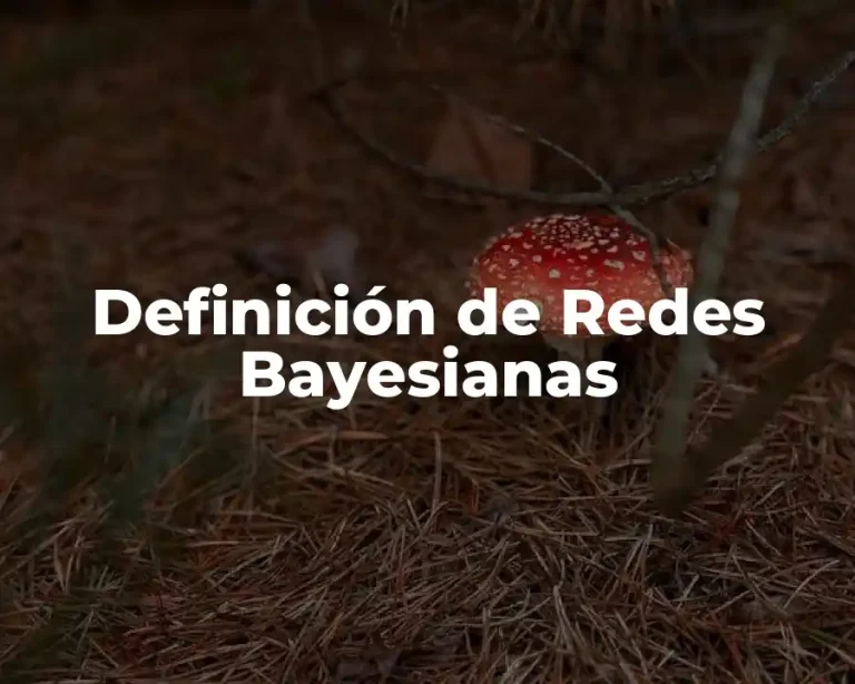 Definición de Redes Bayesianas